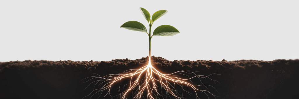 Sapling growing with roots of data.